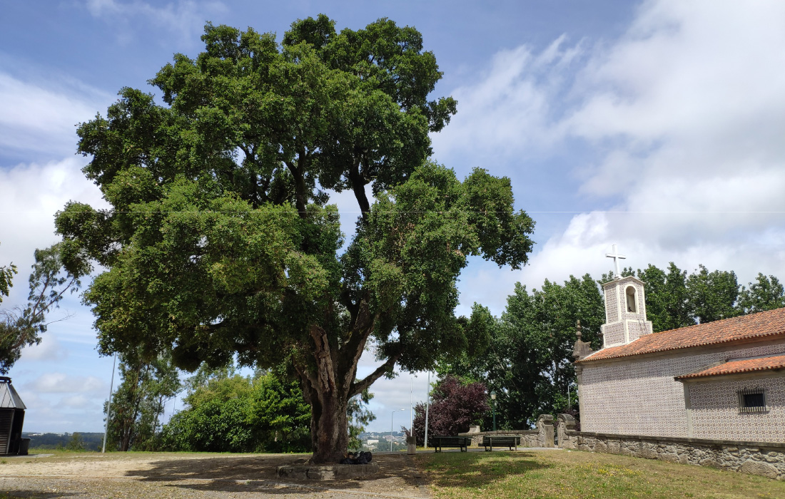 História e Tradições